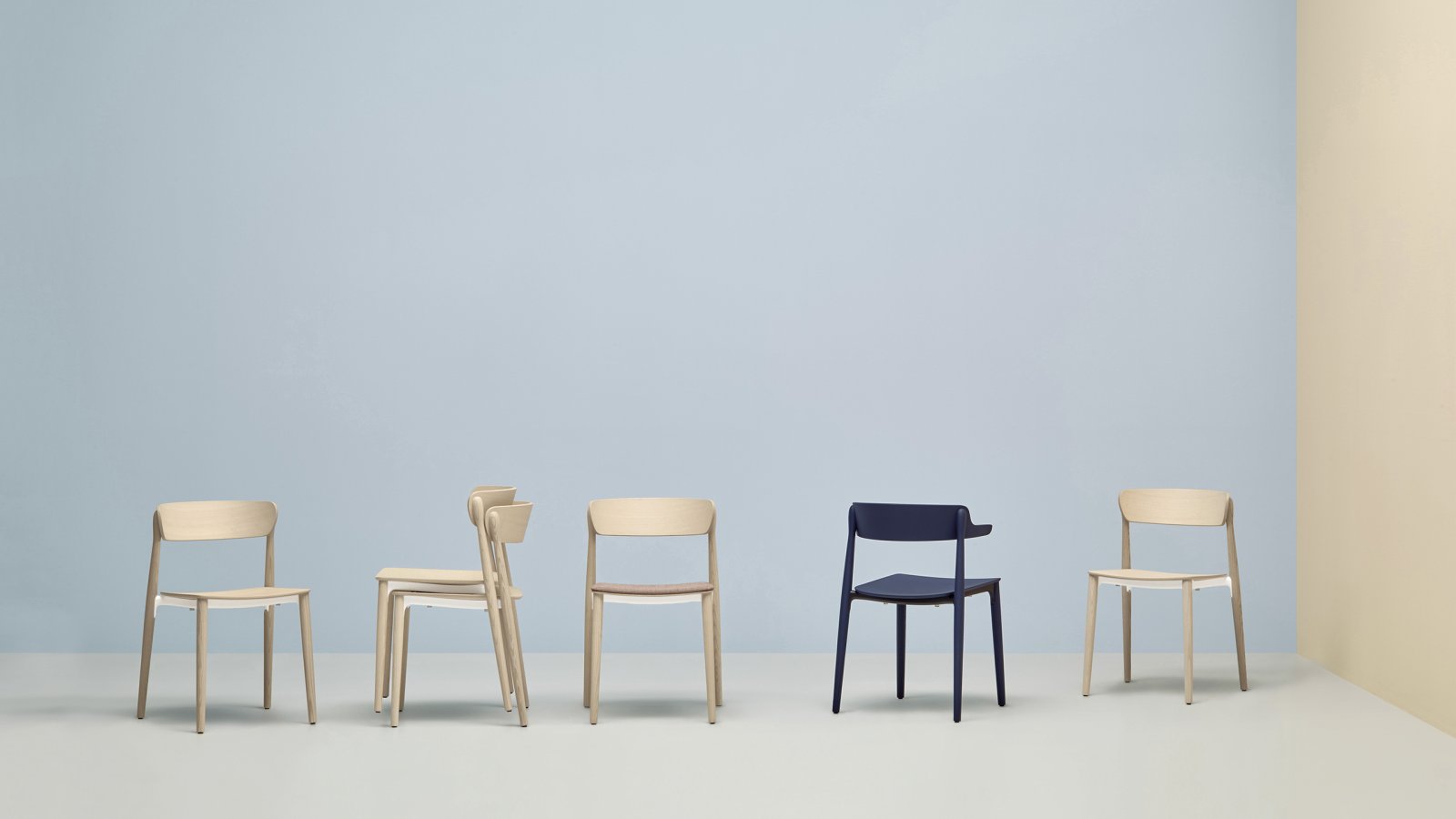 Nemea design chair by Pedrali in ash