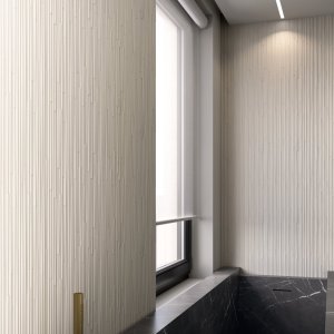 Phenomenon Rain A module