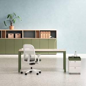 Fattore Alpha executive desk with Ar.tu low sideboard