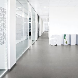 Integrated projecting shelves on a www.60 partition