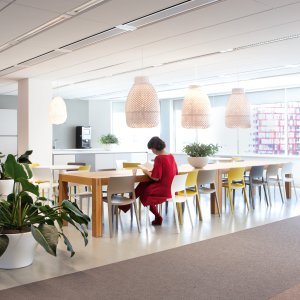 Designer chairs by Arper: the Juno 02 collection