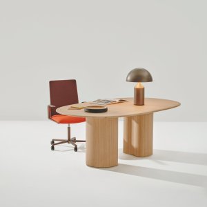 Kinesit in an executive office