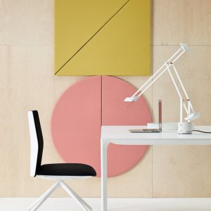 Kinesit in a home office