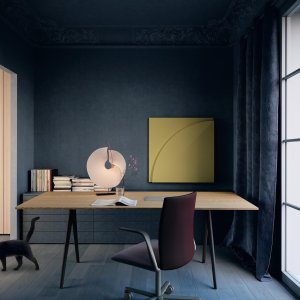 Leather upholstered Kinesit
