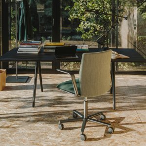 Thin Kinesit backrest seen from the side