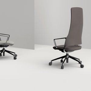 Medium-back version of the Aventador executive chair