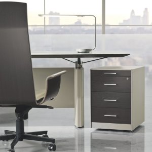 Executive composition with desk and sideboard