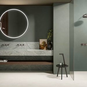 Shower wall with Flora controls in a vertical line under a round shower head