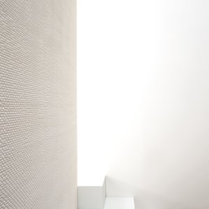 Detail of Phenomenon mosaic joints
