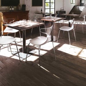 Punk and Shark among iconic design chairs in a venue
