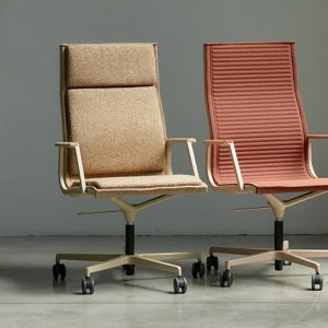 Executive office chair Nulite by Luxy in a director's office