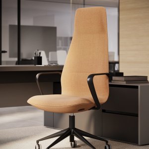 Signal black base of the Milani Synua chair
