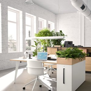 Pigreco Loop meeting table with lacquered leg