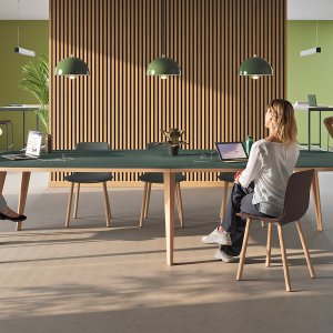 Martex Pigreco table with Fenix top and oak edge