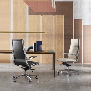 Meeting version of the Sitland Sit it collection