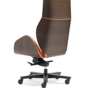 Armrests of the Vaghi Suoni armchair