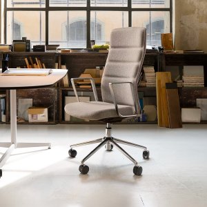 At an executive desk: That’s it Executive with its fixed aluminium arms