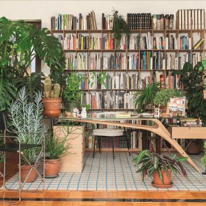 Branching solid timber legs of the Cavour CM desk